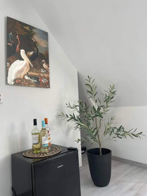 Appartement In Centrum Alkmaar Luaran gambar